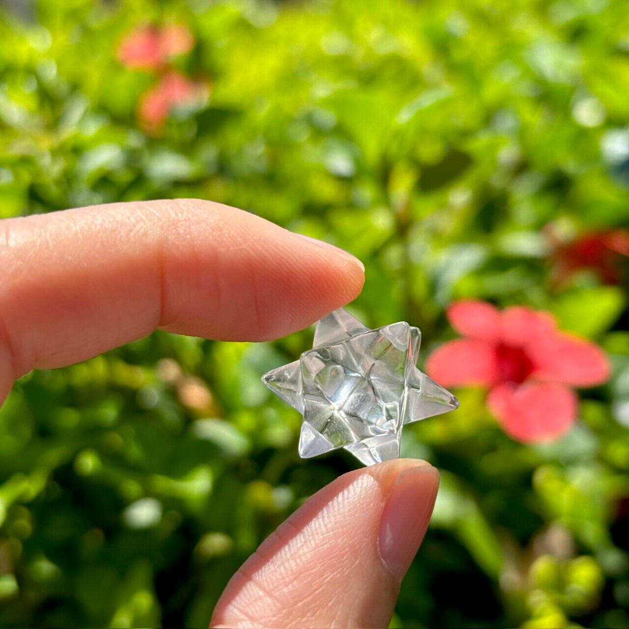 Crystal∞Hawaii