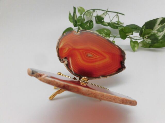 【瑪瑙】　ゴージャス蝶々　no.2