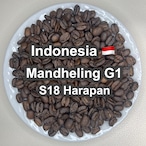 Indonesia Mandheling G1 S18 Harapan(インドネシア マンデリンG1 ハラパン S18)100g 【受注焙煎・自家焙煎コーヒー豆】【酸味を抑えた力強いコク】
