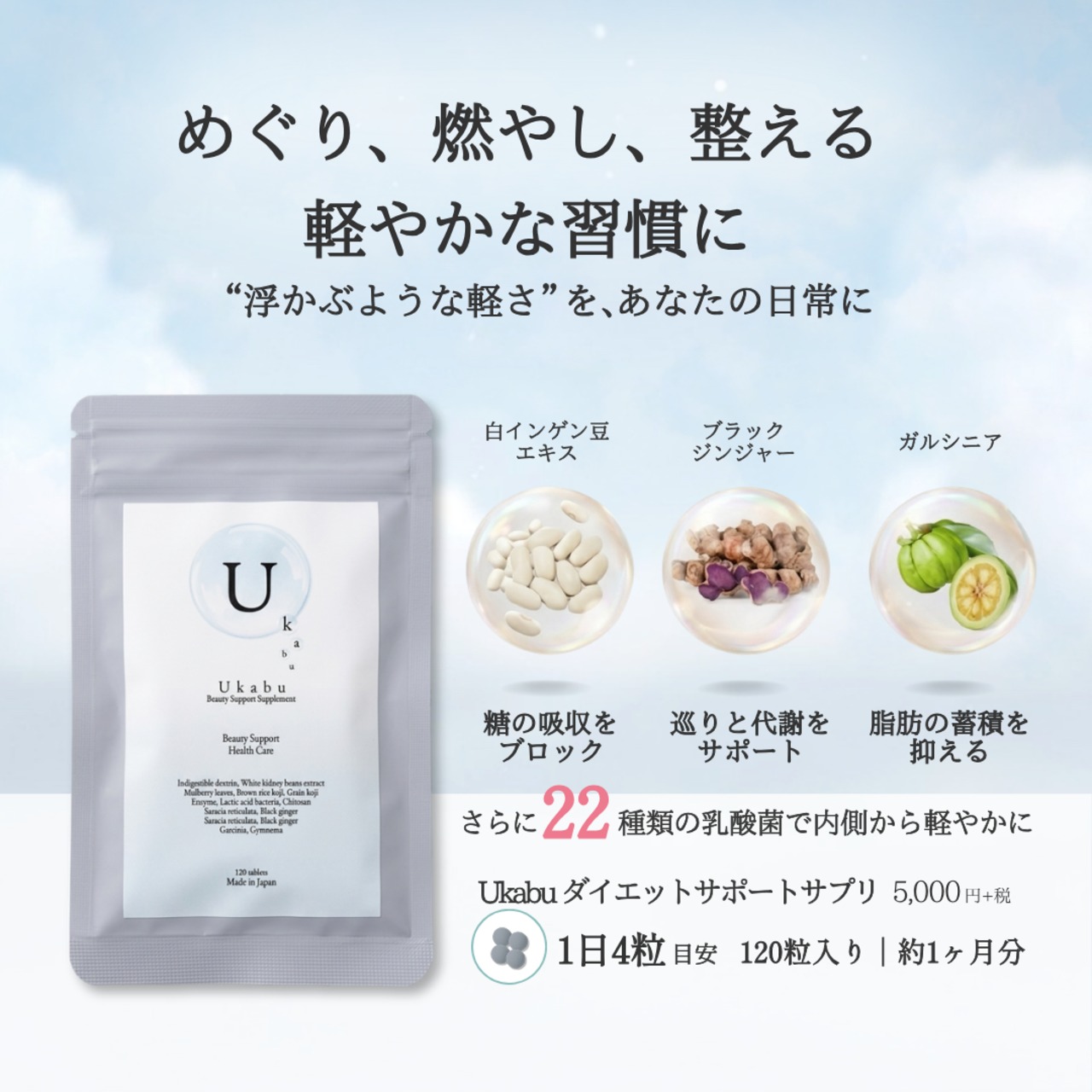 【2袋プレゼント】重力さえも忘れる至高の軽さへ　巡り覚醒セット