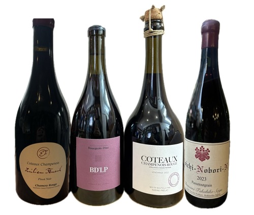 ★限定スぺシャル2セット★ コトー・シャンプノワ ×ドメーヌ・タカヒコ ピノ・ノワール 飲み比べ 4本セット