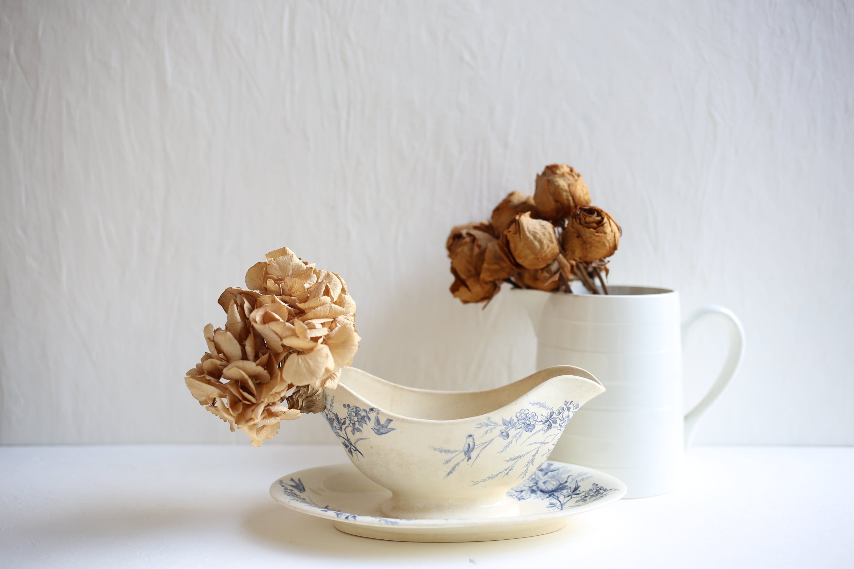 フランス アンティーク Creil et Montereau クレイユモントロー ソーシエ―ル『LINOTTE』N-06098