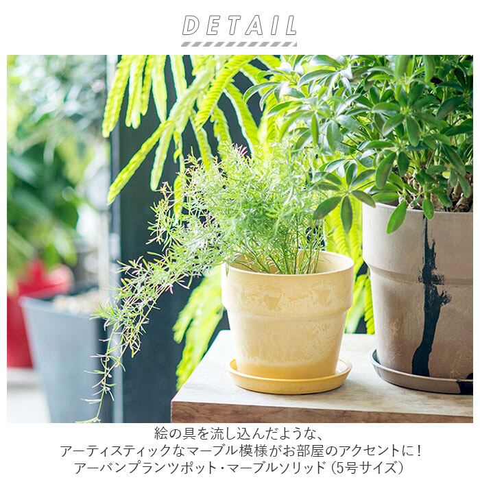 ［未使用］BOTANIZE PLA POT 5個セット 植木鉢 IVXLCDM × BOTANIZE PLA POT BLACK/WHITE set φ9.5cm