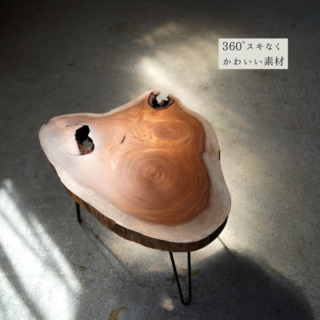 大きな節が二つある欅の輪切り一枚板　コーヒーテーブル（高さ・カラー変更無料）