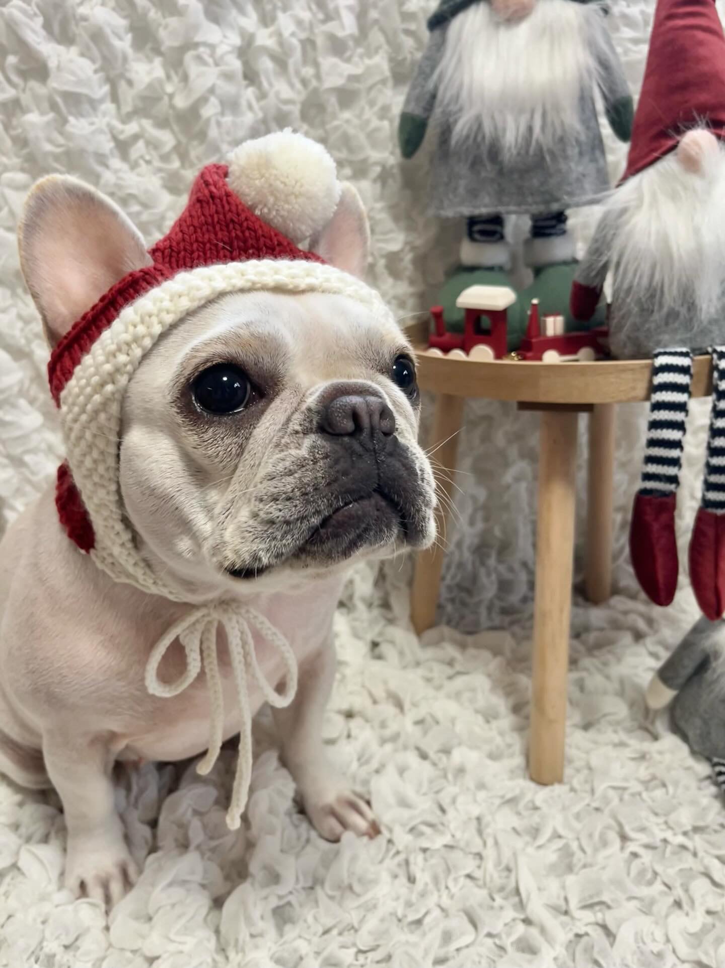 【即納】サンタボンネットLサイズ