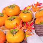 【2025年産】【10月下旬発送】伊豆柿 3L 18玉（5ｋｇ）