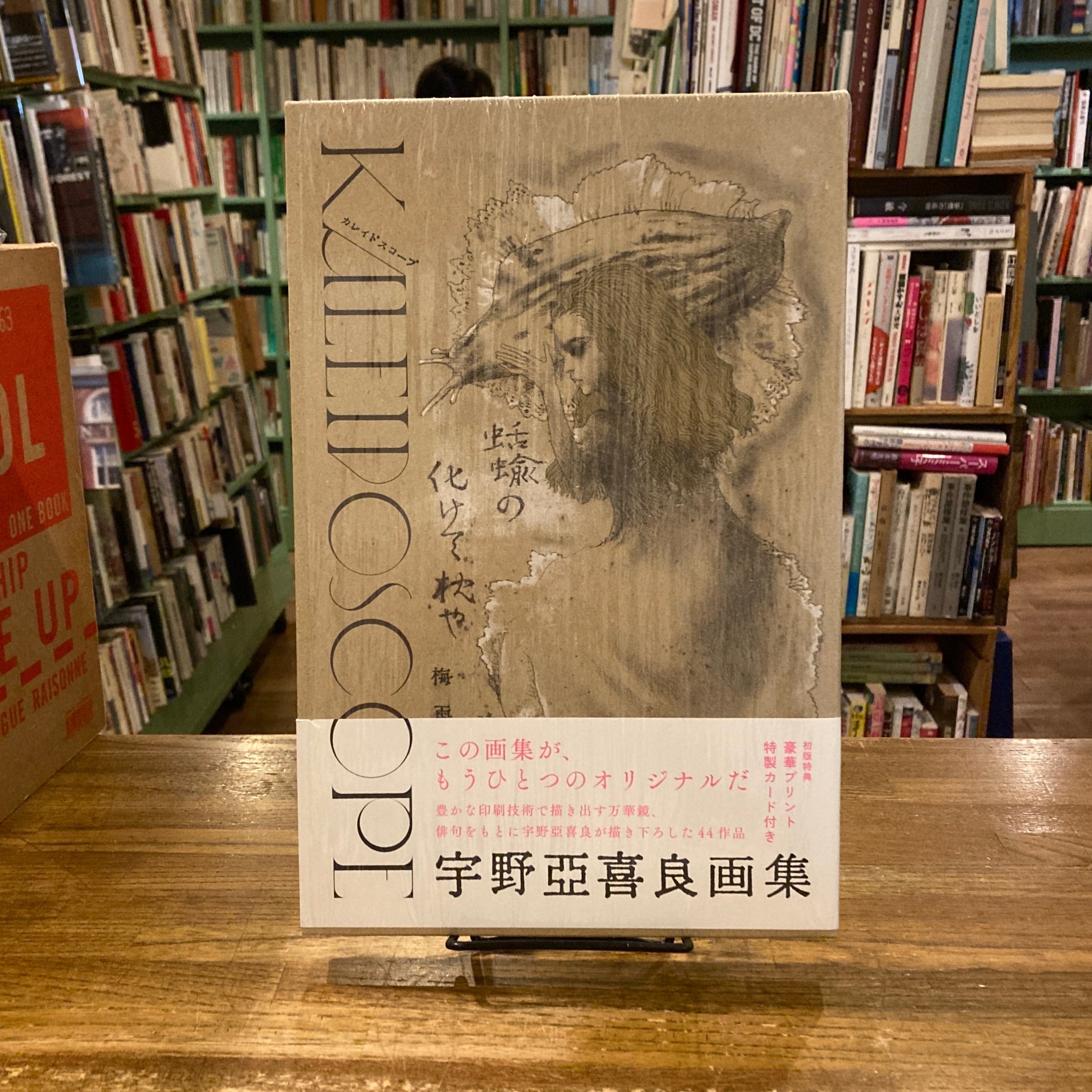 宇野亜喜良画集 Kaleidoscope ( カレイドスコープ ) / 宇野亜喜良、文
