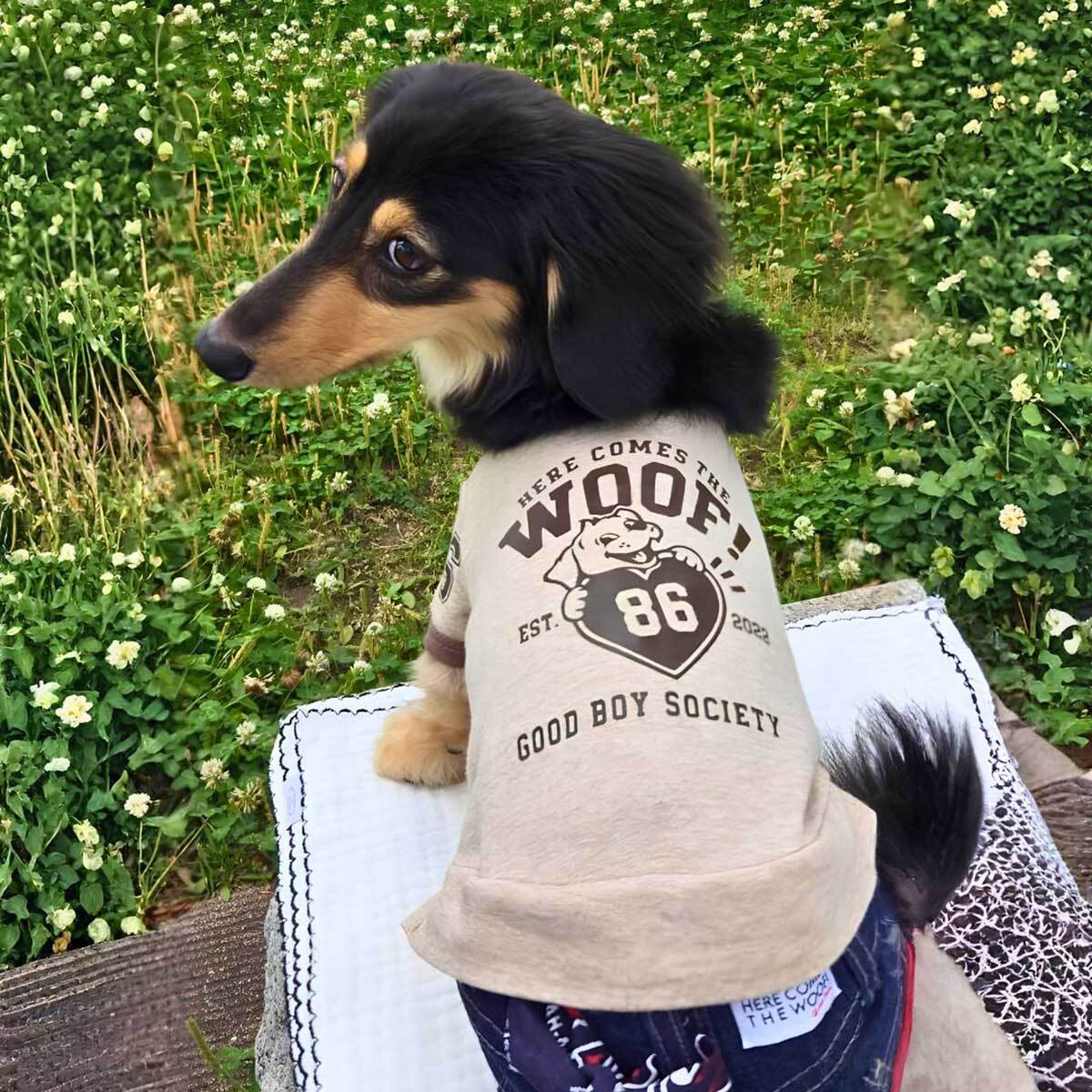 犬服 3S わんこの普段着　ブラウンローズ ドッグウェア | HERE COMES THE WOOF!