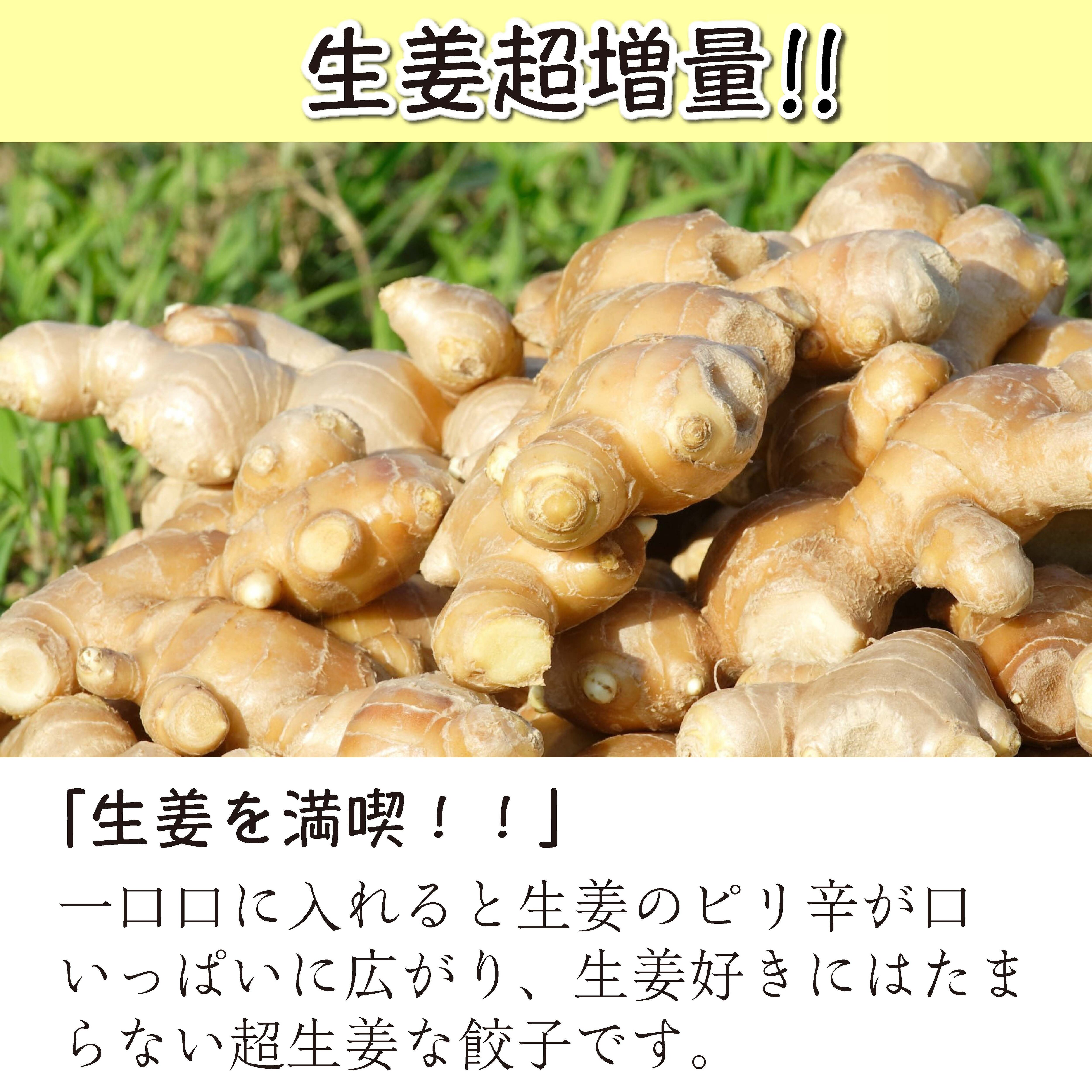 国産生姜超増量！ 超生姜餃子 15個入り | ぎょうざのたかはし