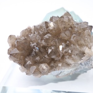 シャンファーリン産 フローライト スモーキークォーツ 共生 / 原石 標本【C_1】