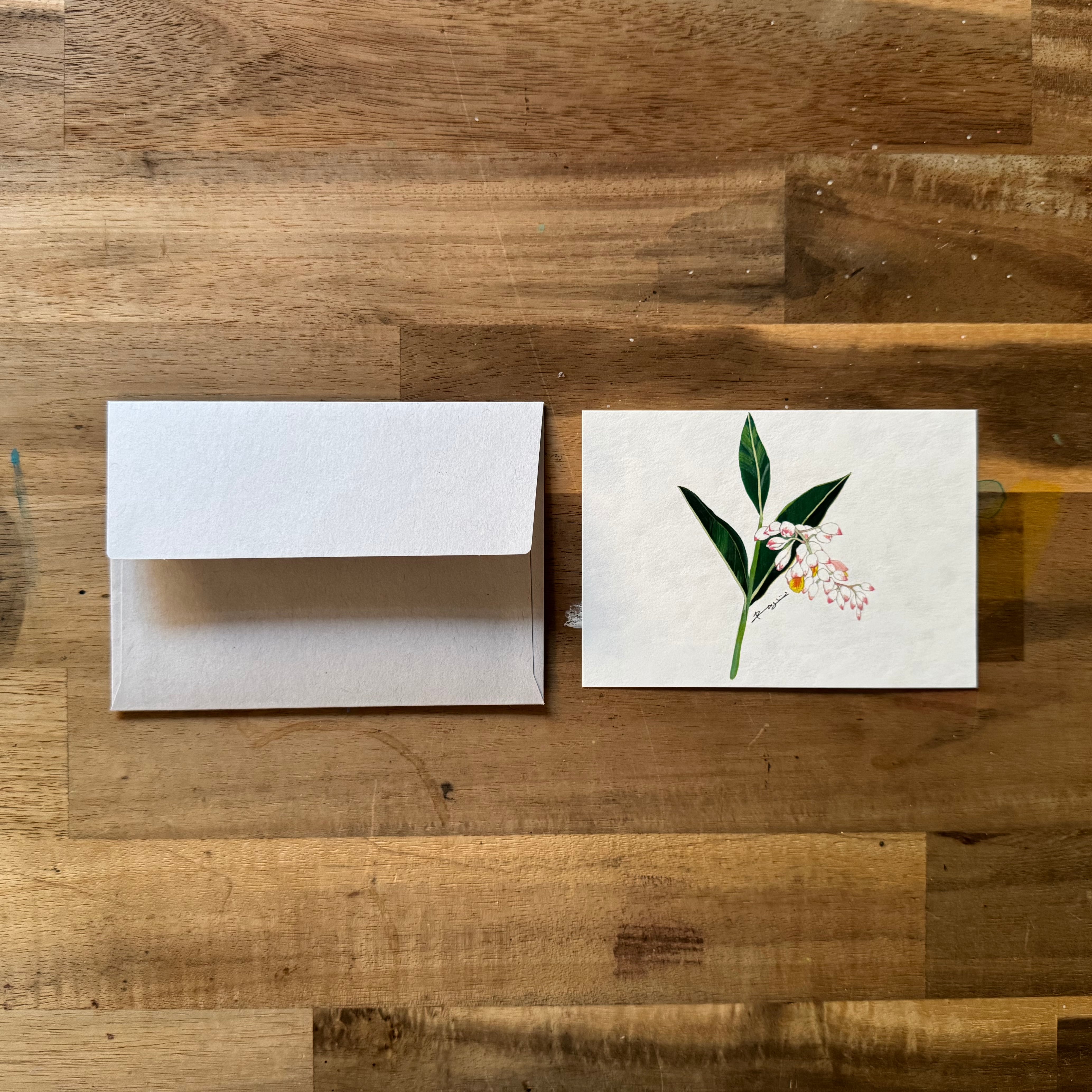 zanka ARCHIVE CD メッセージカード付き 紙の専門商社竹尾監修 紙見本みたいなメッセージカードセットの会