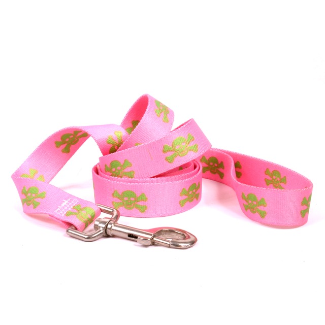 Pink & Green Skulls 首輪＋リードセットXS サイズ - Yellow Dog Design