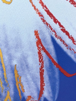 アンディ・ウォーホル「デイジー(ブルー オン ブルー)Daisy,c 1982」展示用フック付大型サイズジークレ ポップアート 絵画 Andy Warhol