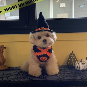 即納【BELELE】Halloween Cape＋Hat Set