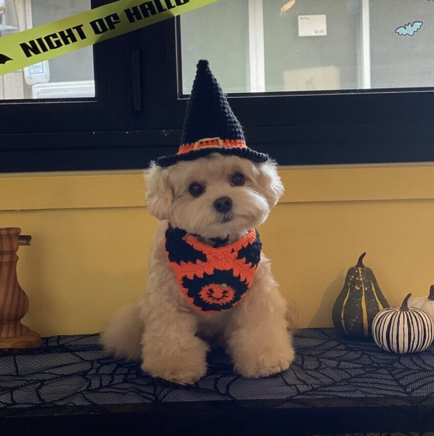 即納【BELELE】Halloween Cape＋Hat Set