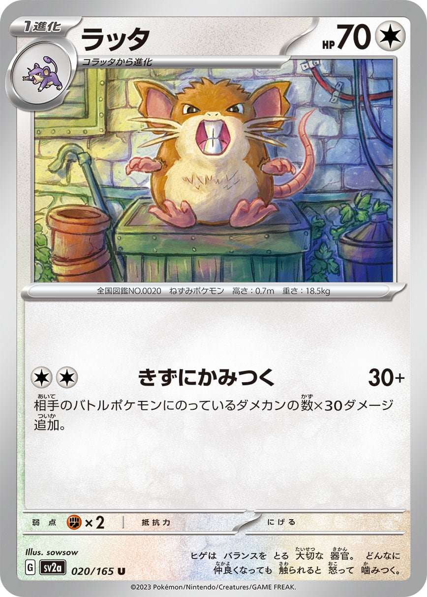 PSA10 ポケモンカード 4枚セット コバルオン ドッコラー ラッタ ニャオハ 20e61324a31d170a98de95471ab088