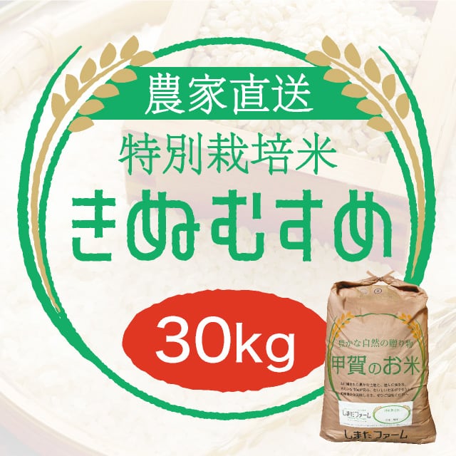 農家直売・特別栽培米 きぬむすめ 玄米30kgまたは白米27kg〈1週間以内