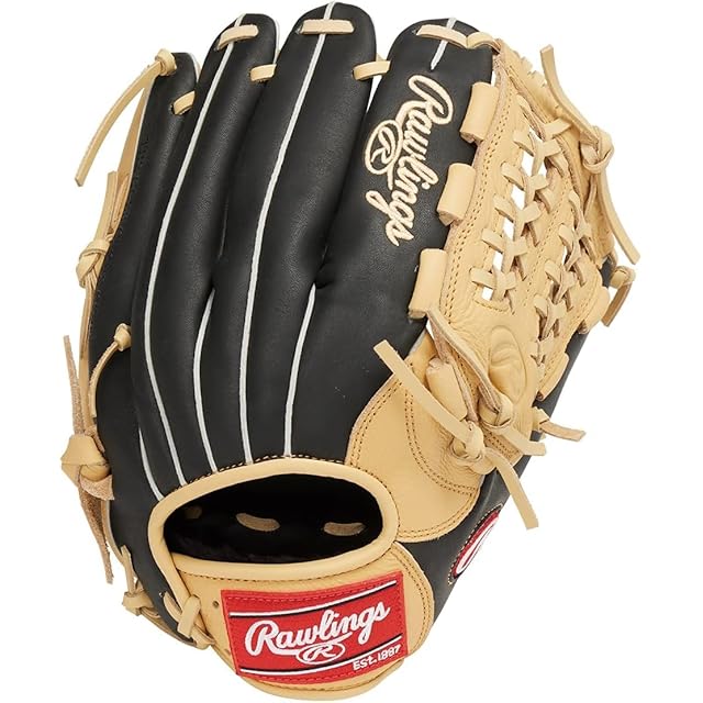 特別版】ローリングス(Rawlings) 大人 一般 野球 グローブ GRXASPLN55
