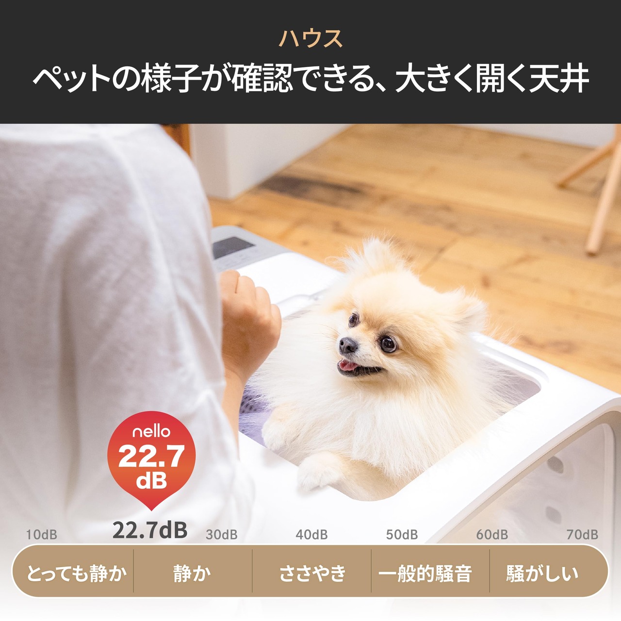 ペットドライルーム （2024年】中型犬におすすめのペットドライルーム  