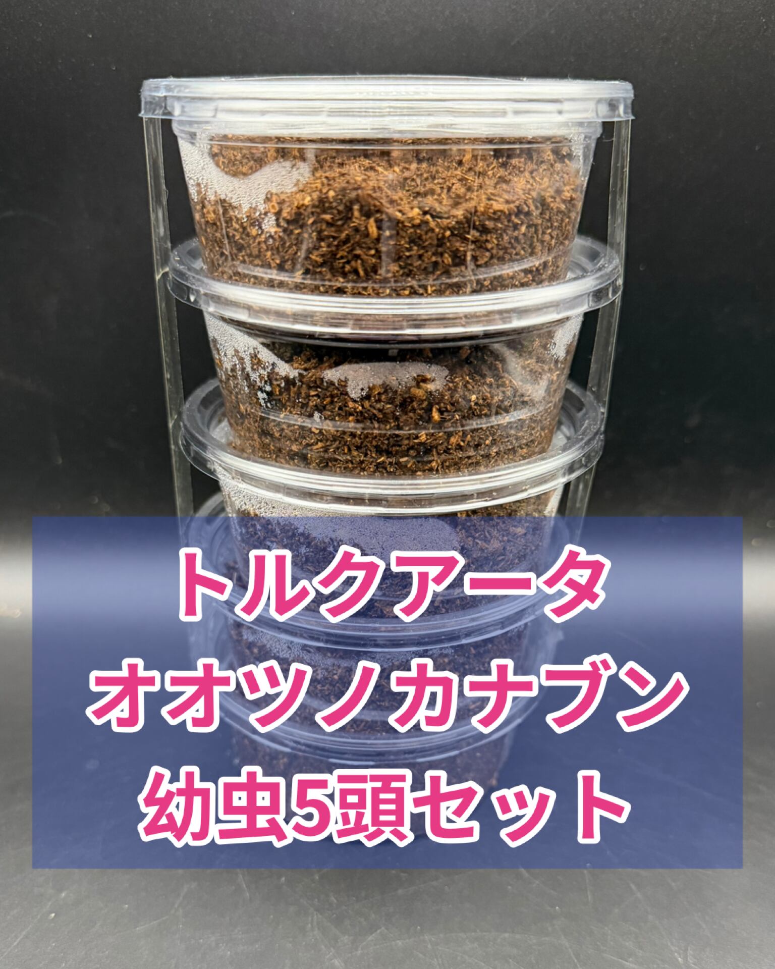 S8カンタケ 800cc | KPW BASE店