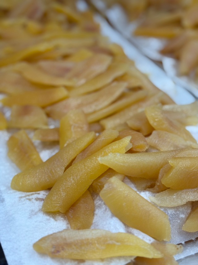 【福袋！！20000円】ライドザシップより2026年元旦お届！愛知魚貝の詰め合わせ