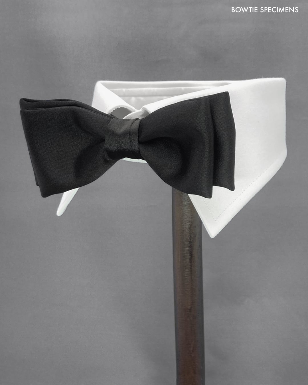 スタンダード・バタフライ (ブラックサテン/ソリッド) 作り結び型〈蝶