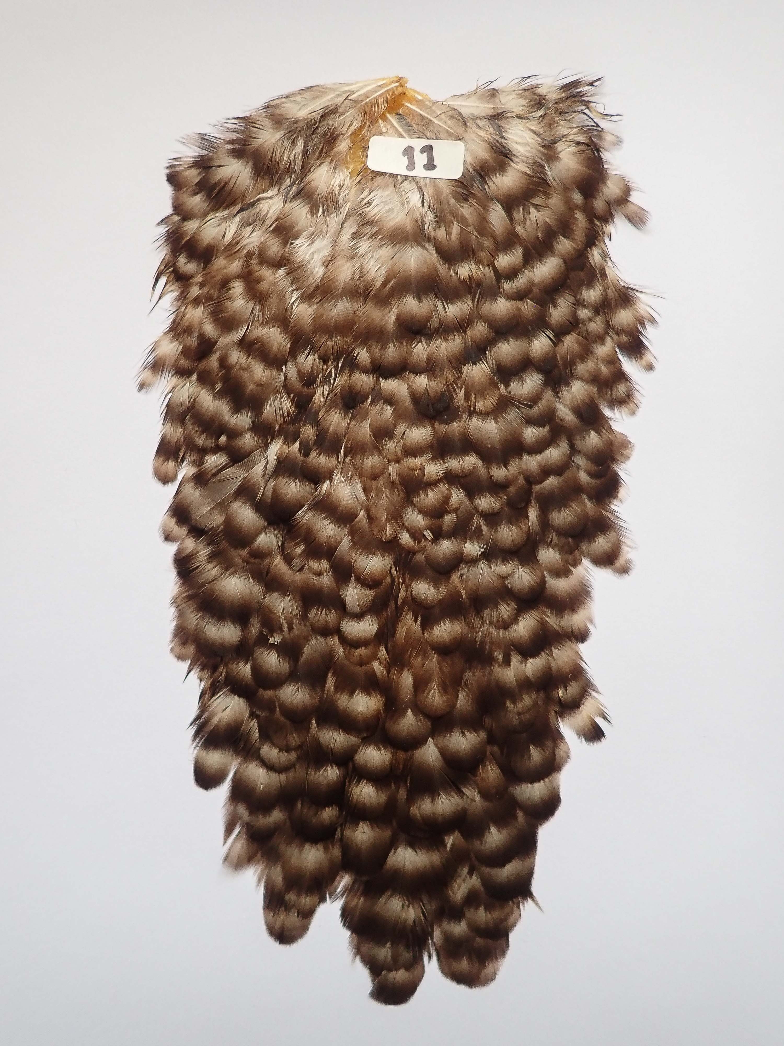 HEN SADDLE HACKLE | Anglefield Fly Supplies