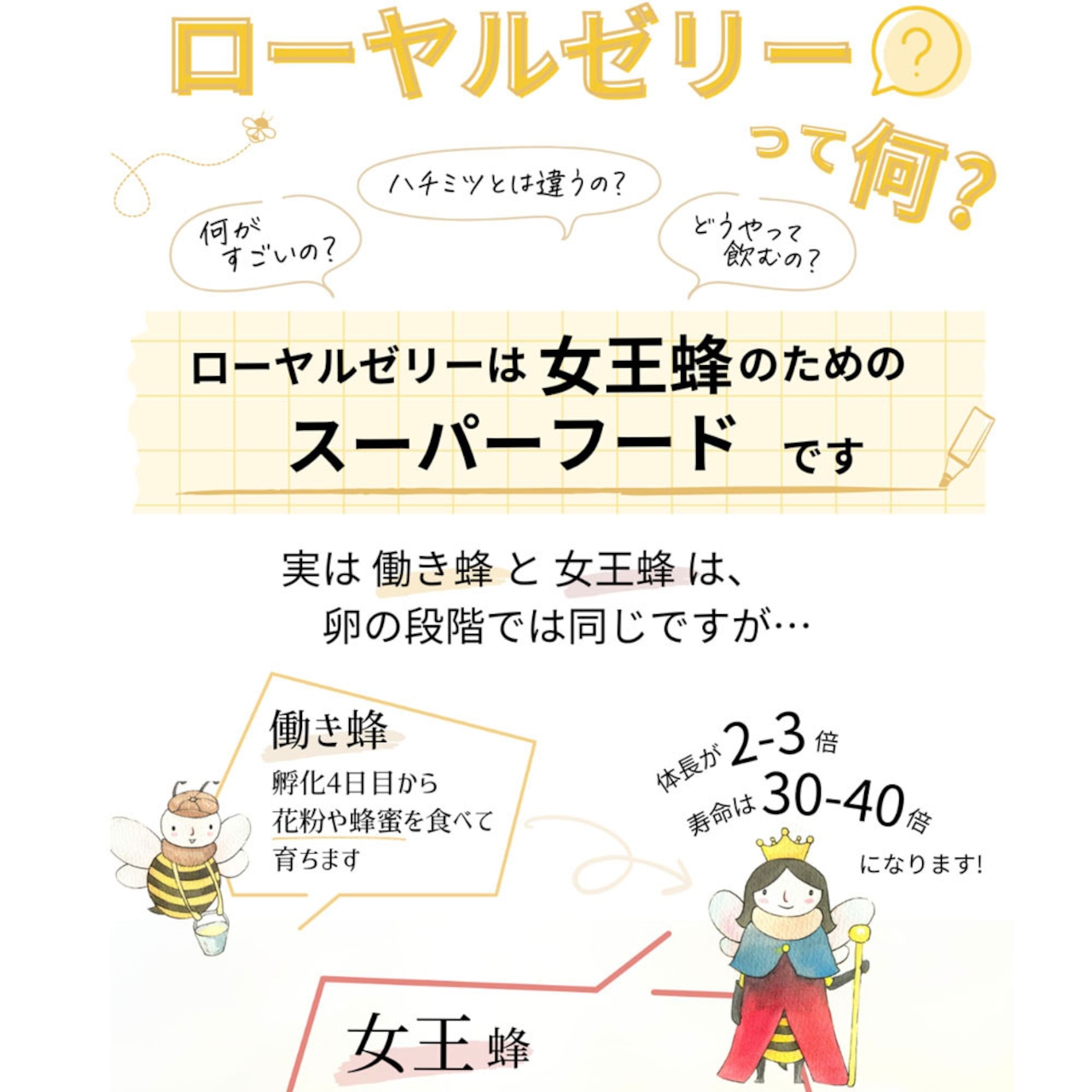 「送料無料」お試し、台湾産生ローヤルゼリー30gセット(約十日分)（ヤマト運輸冷凍便発送）