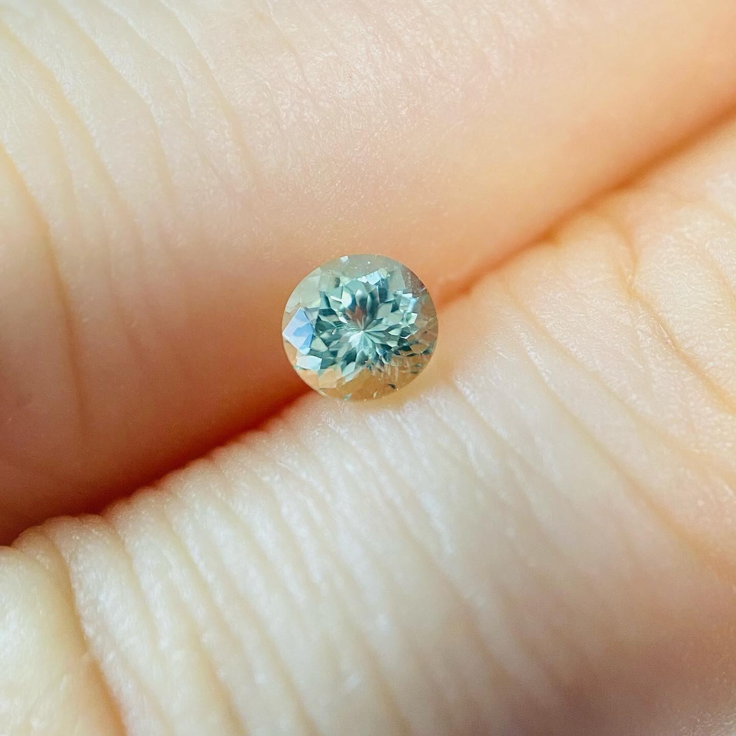 春の光キラキラ　コーネルピン