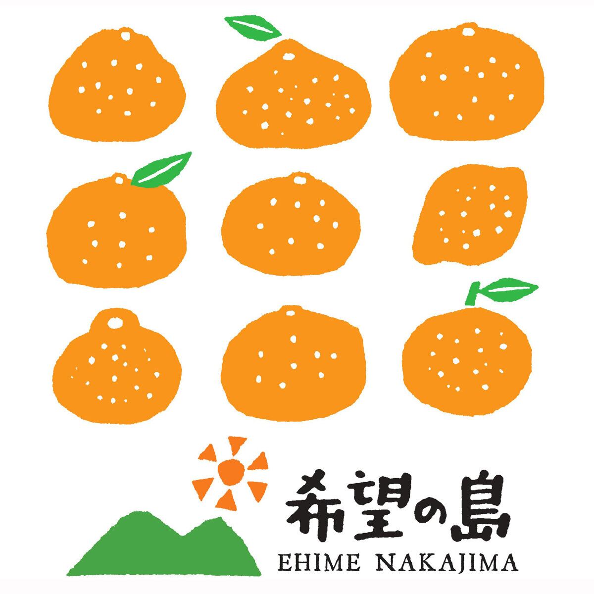 愛媛　希望　S　島みかん　みかん　ミカン　甘小粒　お試し品　中島産　の島　愛媛みかん　温州みかん　家庭用　1kg　2Sサイズ　みかんの楽園　希望の島　小玉