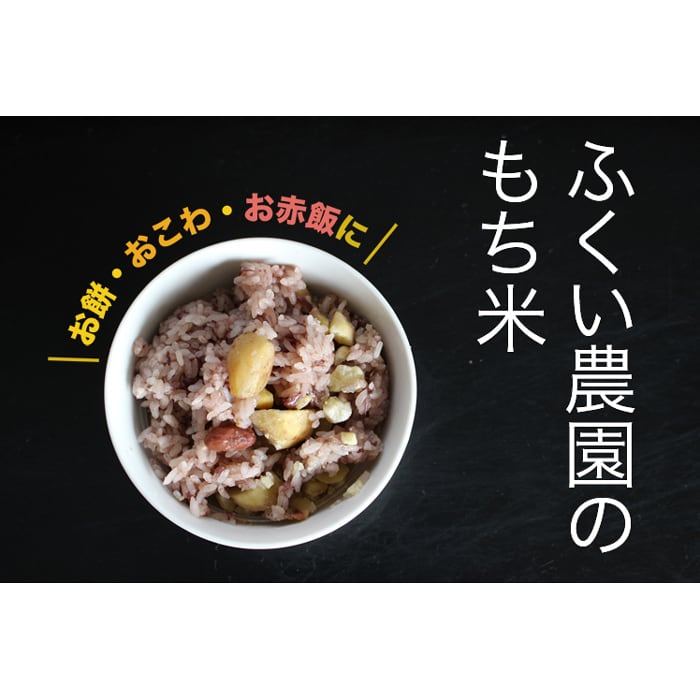 ふくい農園 おいしいお米 もち米 10kg 精米 高知県産 令和7年産 2025年産