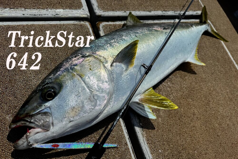 BlackDimension 103 Medium Heavy | トミヤ ソルトウォーター ルアー専門店