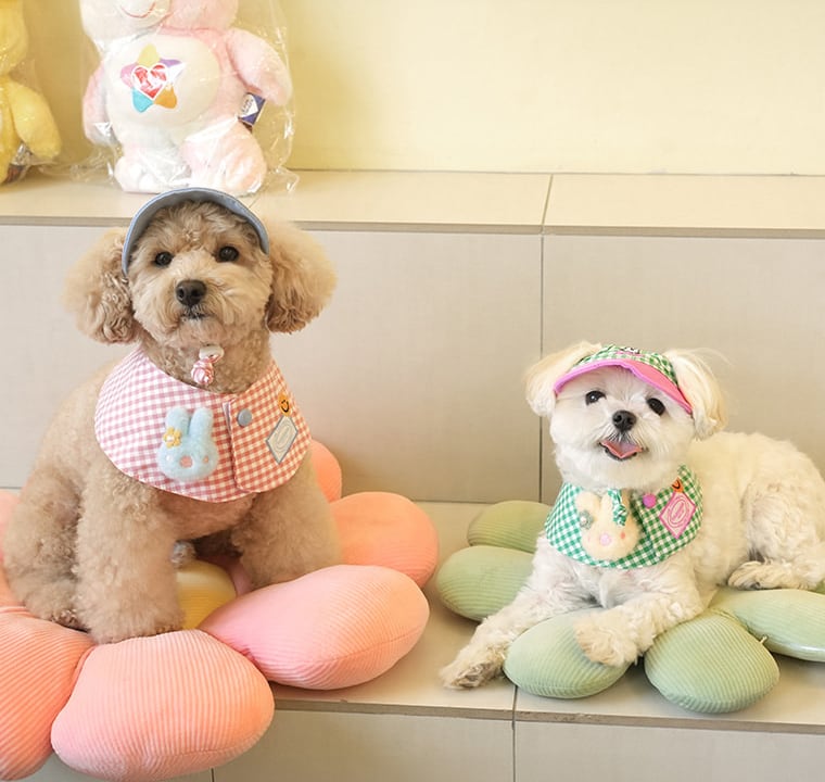 baby bucket hat S ~ L 3color / 犬用 帽子 秋冬 新作 ドッグウェア 犬