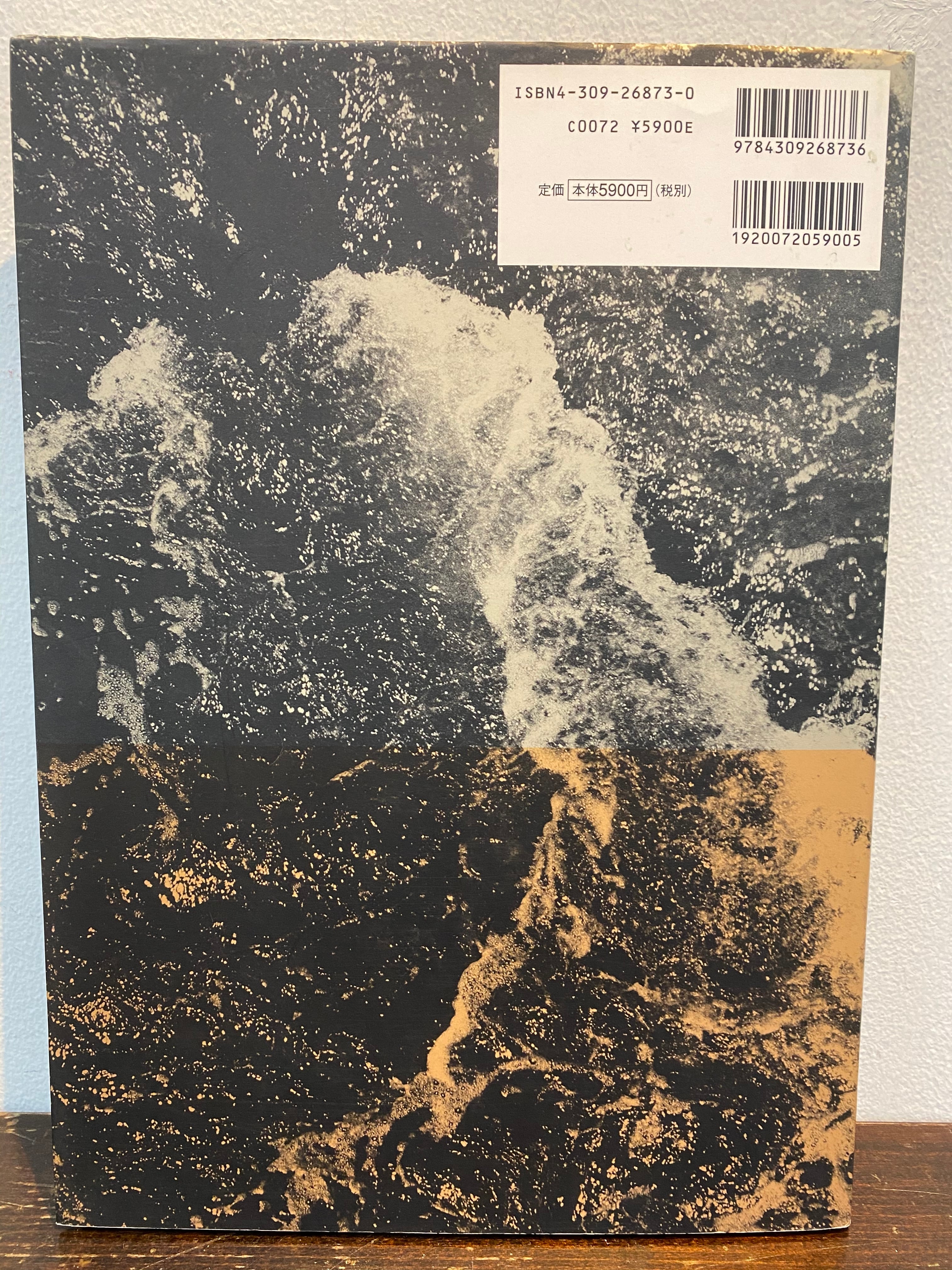 ◇中平卓馬・ADIEU A - アデュウア エックス・2006/新装版初版◇伝説的