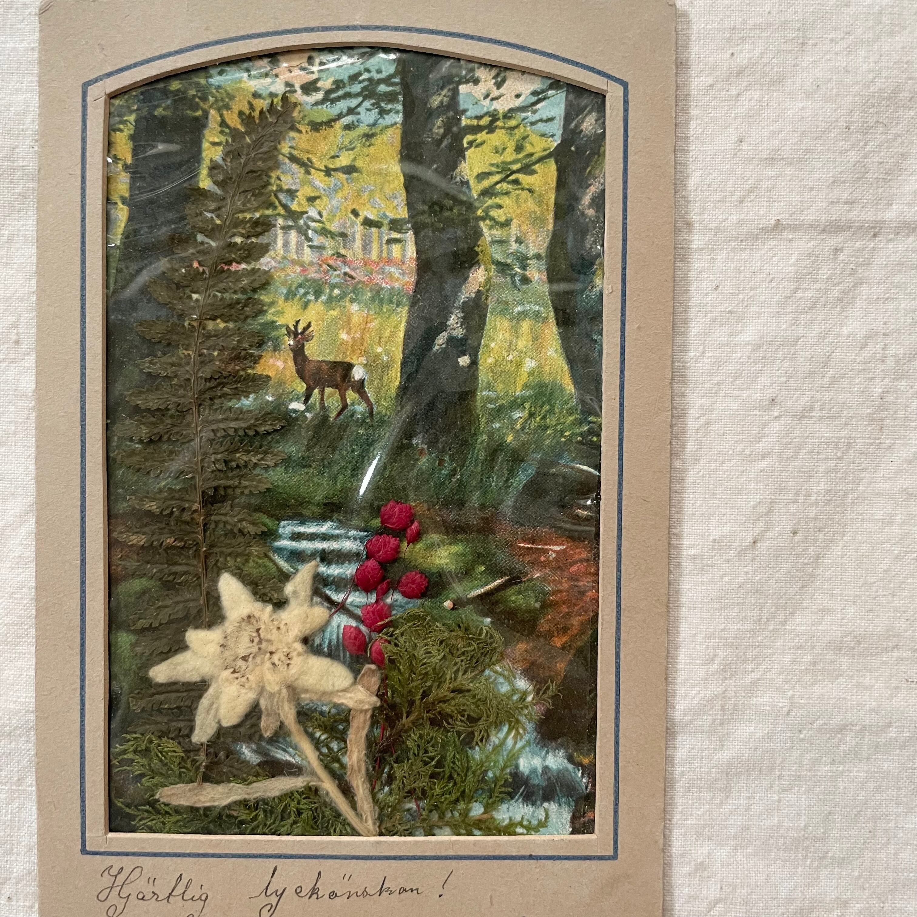 植物の入ったはがき