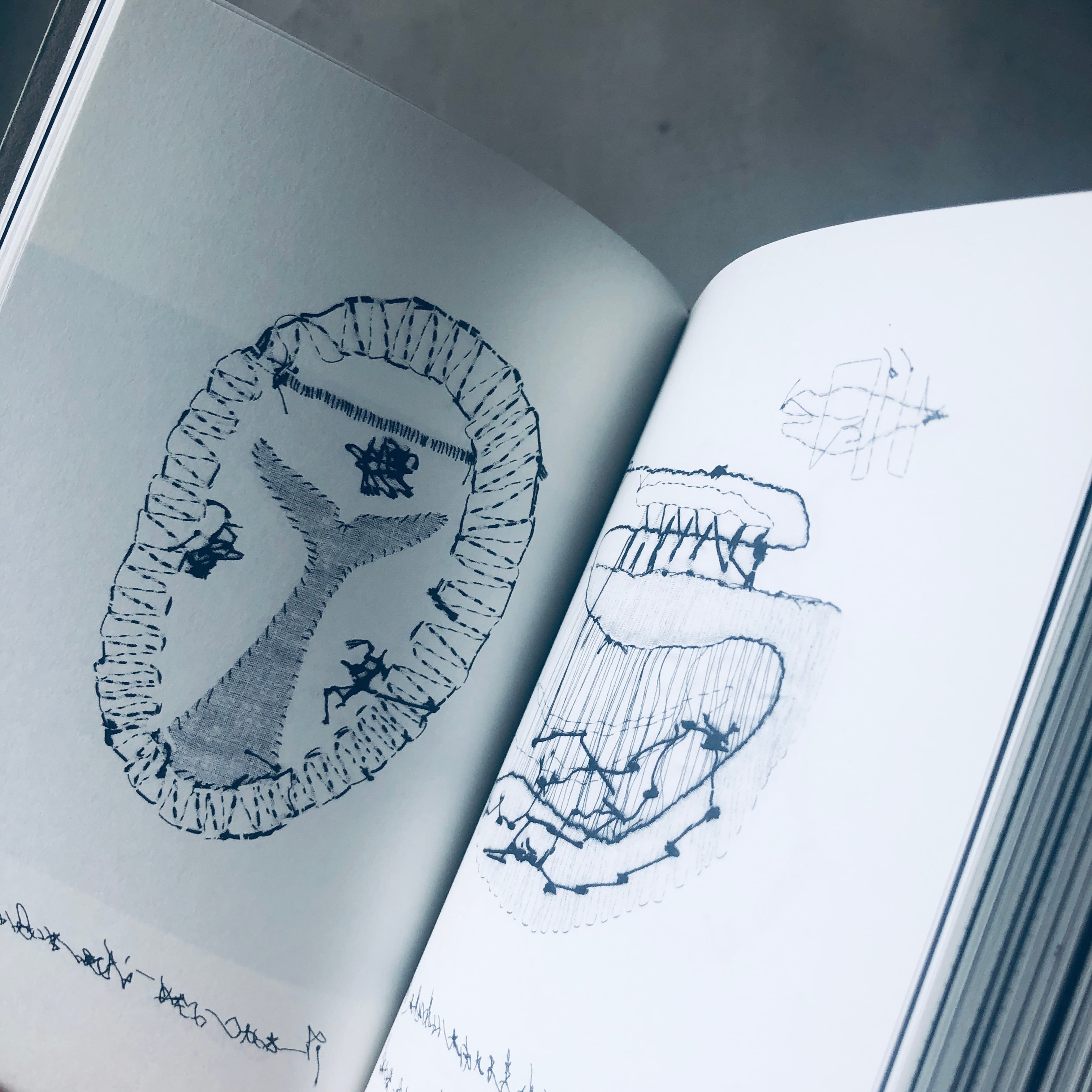 ありふれたくじら Ordinary Whales｜是恒さくら | 本の轍