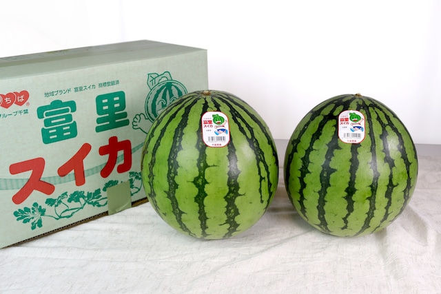富里秋スイカ 2玉 (2Lサイズ)