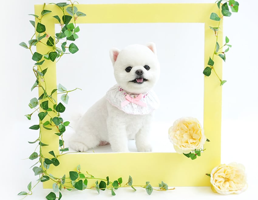 lace scarf 3color / 犬 首輪 おしゃれ 可愛い バンダナ 犬 アクセサリー 小型犬 中型犬 レース リボン 犬服 ドッグウェア ケープ