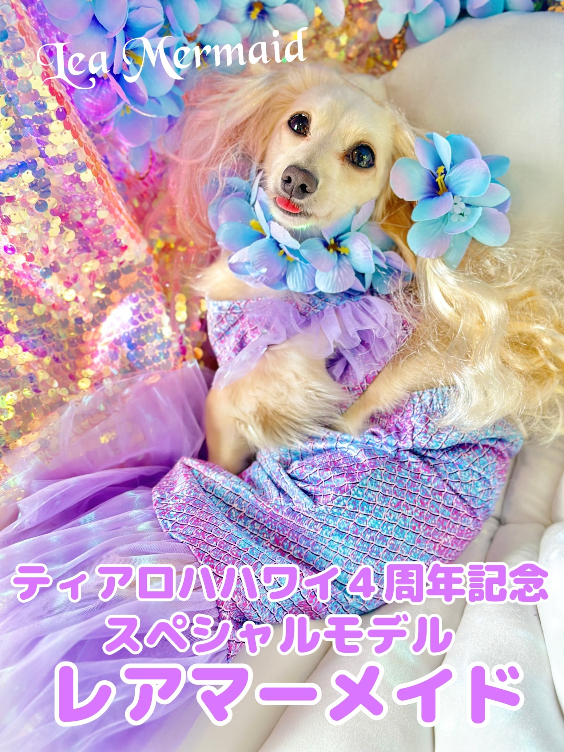 大型犬猫L レアマーメイド