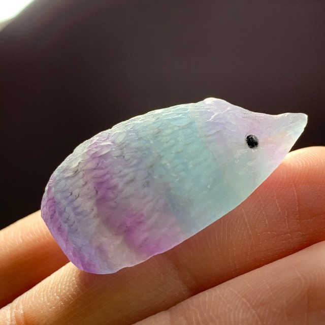 90綺麗なグラデーションフローライトハリネズミさん