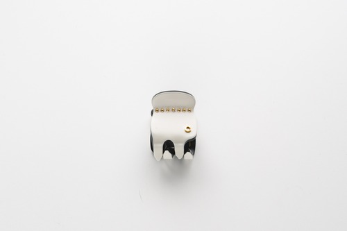 カリーヌパリ cpt