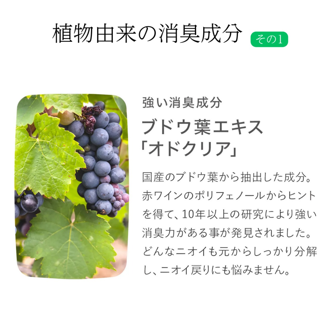 【ウィッグ用消臭スプレー】DEO4U(デオフォーユー)15ml |100%植物由来のやさしい消臭ミスト 静電気防止・毎日ケアに最適