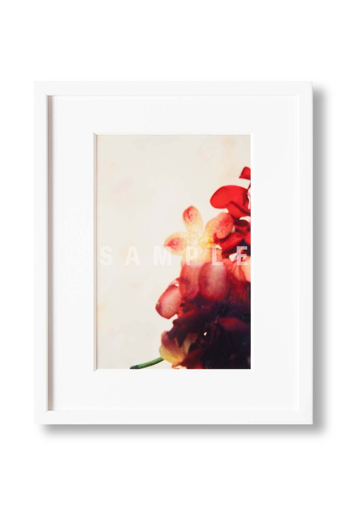 Wim Wenders「sofort bilder」CO BERLIN展覧ポスター | Pay ID