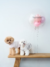 BUBBLE BALLOON sizeM スマイル