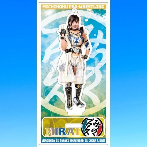 みちのくプロレス　サスケ対丸藤 DVD「ノスタルジック19」～サスケ対丸藤 最初で最後のシングルマッチ