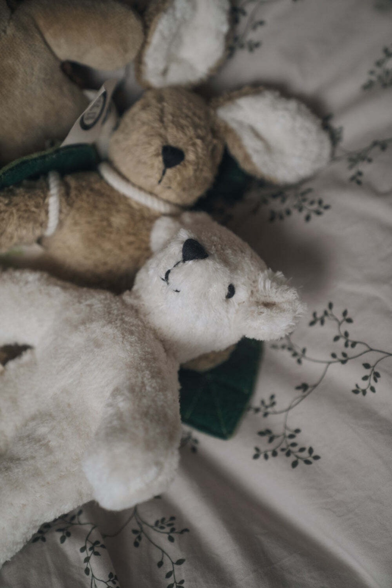 【即納】SENGER NATURWELT / Animal Baby Bear white