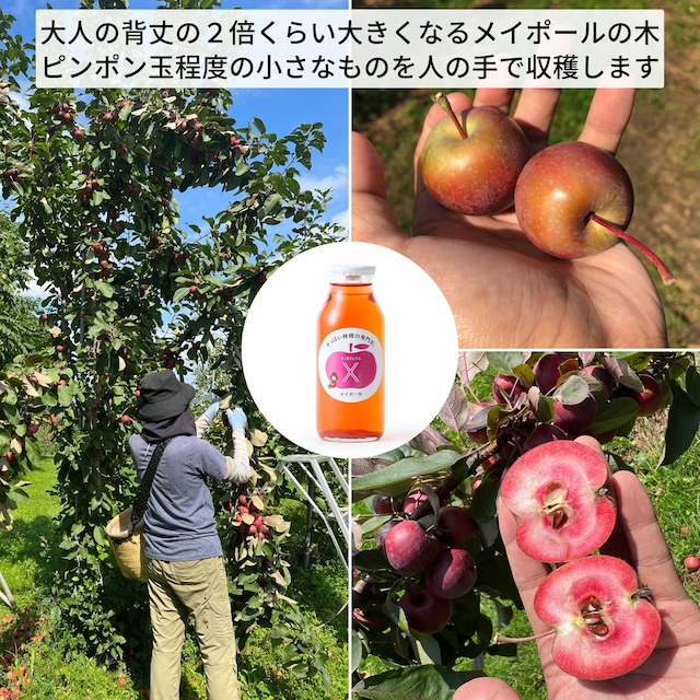 国産りんごストレート果汁100％　りんごの固定概念をくつがえす2種類のりんごジュース【1リットル】誕生日／内祝／ギフト