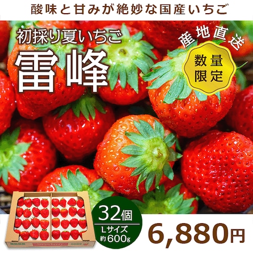 国産 夏いちご 雷峰 ２トレー Ｌサイズ 32個 約600ｇ 【クール便】