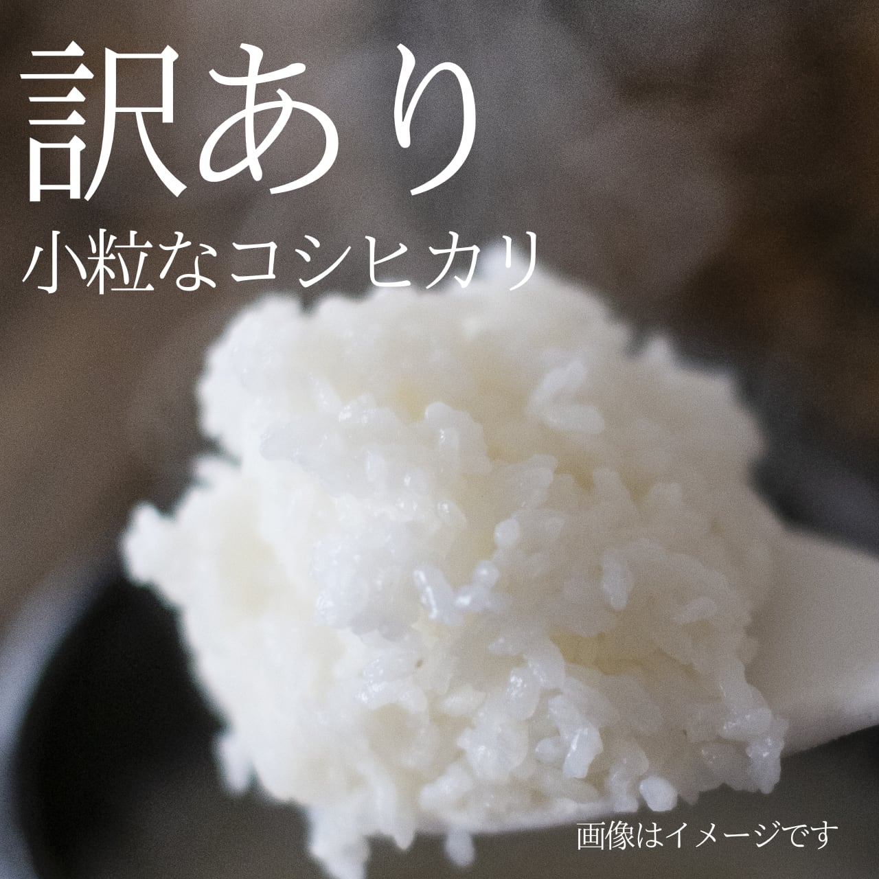 白米 豊穣 もったい米 20kg 最短当日発送 お米 送料込み 20キロHJ2