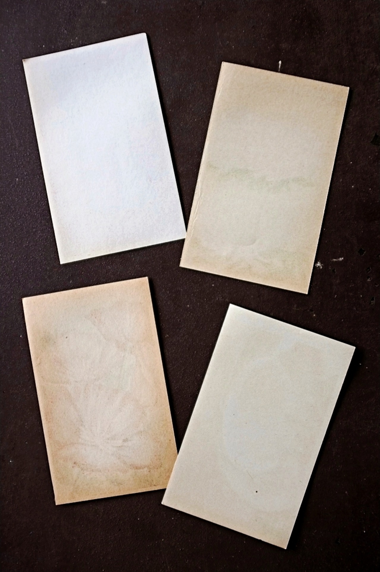 20s フランス 4set 膨満な花々と野菜たち 種子袋用ラベルu アンティーク